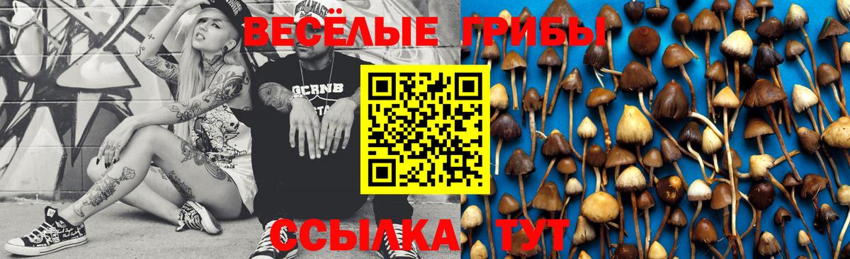 Норильск  Псилоцибиновые грибы Magic Shrooms  Вход с VPN 